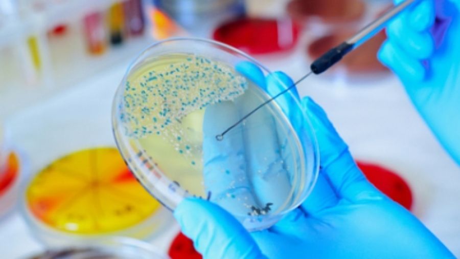Rapid Microbiological Methods (RMMs)