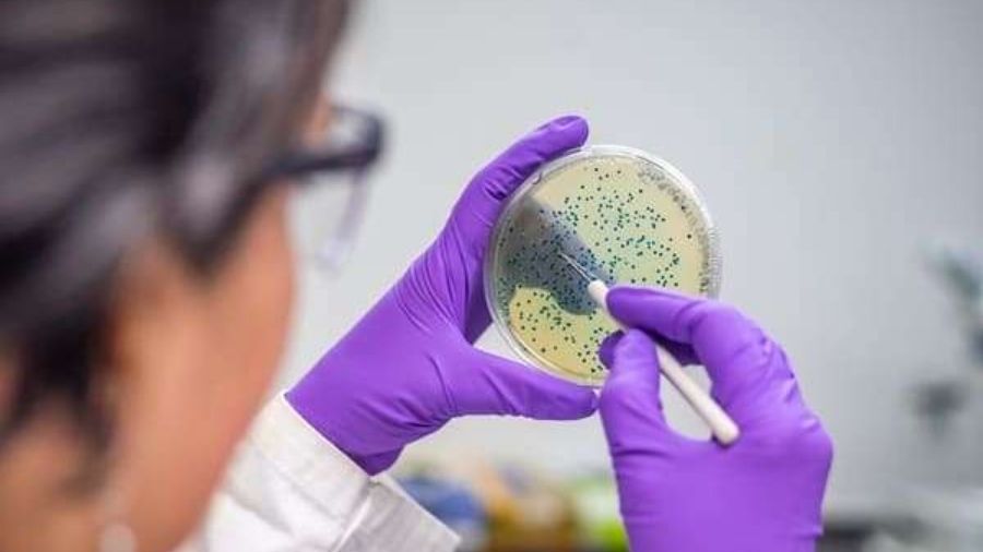 Microbial Testing Innovations Shaping Indian Pharma Industry