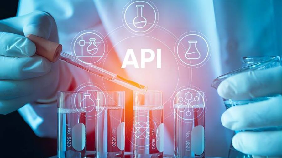 What is an Active Pharmaceutical Ingredient