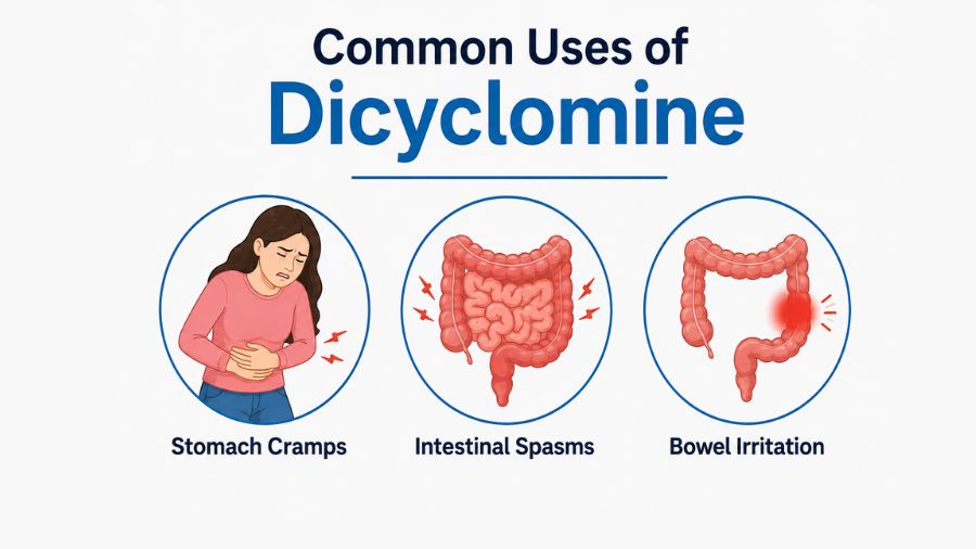 Common Uses of Dicyclomine Tablets