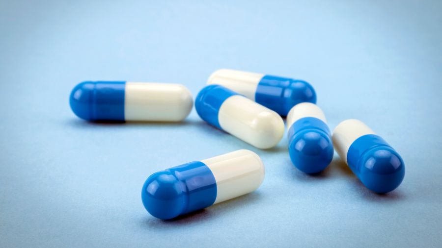 Hard Gelatin Capsule Manufacturing Process 