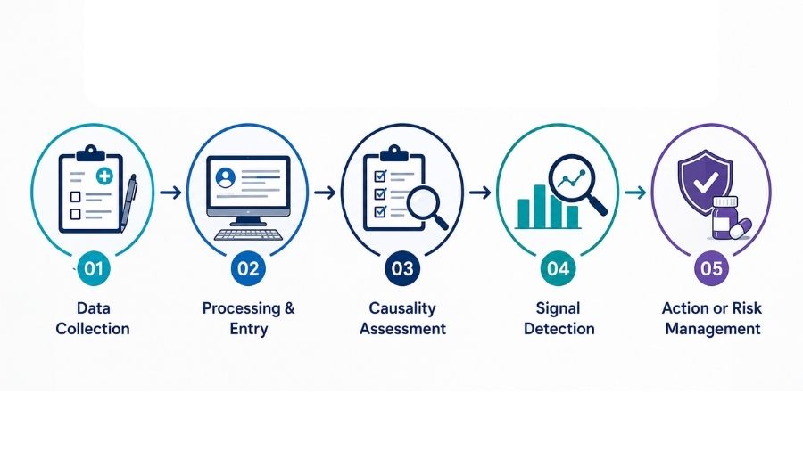 How Pharmacovigilance Process Works in India