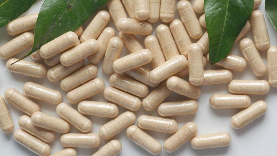 Vegetarian Capsule Manufacturing Process